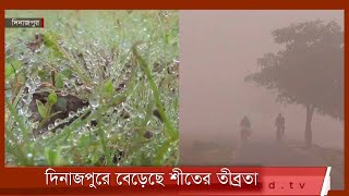 দিনাজপুরে বেড়েছে শীতের তীব্রতা | তাপমাত্রা ওঠা নামা করছে ১০ থেকে ১৫ ডিগ্রী 15Dec.21| Dinajpur Winter