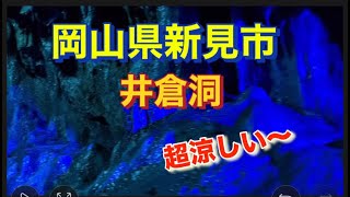 【洞窟】岡山県新見市「井倉洞」