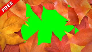 TOP 4 Leaf Litter green screen