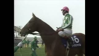 タイキシャトル 1997年 第31回スプリンターズステークス(GI) (優勝馬：タイキシャトル)