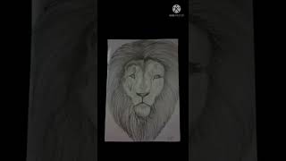 lion drawing . @Surya Beast Arts