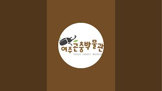 14시 시작! Insect of the storm 곤충 배틀 라이브