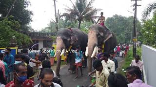 ഒന്നു കാണാൻ ചെന്നതാ അപ്പോ വരിവരി ആയി ഗജവീരന്മാർ@2022