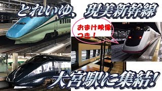 大宮駅にＥ３系とれいゆつばさ、現美新幹線が集結！