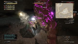 ゴーレム戦【シールドセージの野良プレイPart6】DDON/ドラゴンズドグマオンライン