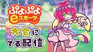 2024.08.29 楽屋裏 | 第23回reoru杯 | ぷよぷよeスポーツ