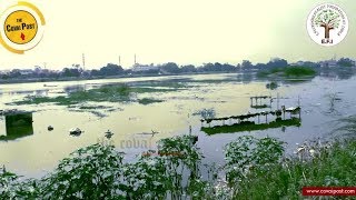 Selvachintamani lake struggles for survival