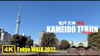 【4K】Kameido Tenjin Shrine - Tokyo WALK  (2022)