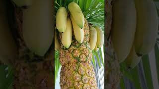 Making a pineapple palm tree for drinks Reception centrepiece