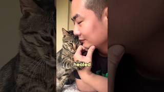 Kittens who want to be loved.#kittens #love #pity #youtube #foryou #fyp