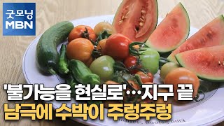 '불가능을 현실로'…지구 끝 남극에 수박이 주렁주렁 [굿모닝MBN]