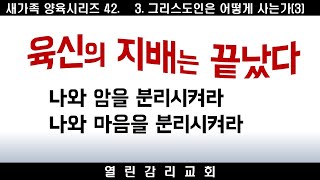 새가족양육 42 영과 육신의 싸움, 거울원리, 율법을 벗어버리고 하나님의 관점으로 성경을 보라. 말씀과 성령의 역사, 말씀고백의 능력(241224