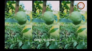 ಎಂತ ಚಂದ ಬಾಲ್ಯದ ಆ ದಿನಗಳು ... ! Sweet Memories of Childhood Days ...!