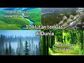 Apa // 10 Hutan terluas di dunia // wow Indonesia masuk!!