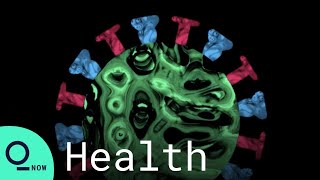 The Search for a Universal Flu Shot