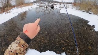 Catching My First Nice Trout Of 2025 #trout #fishing #troutfishing