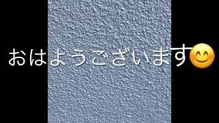 2024年12月7日蝉の抜け殻