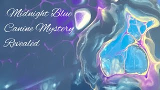 Midnight Blue Canine Mystery Unveiled!