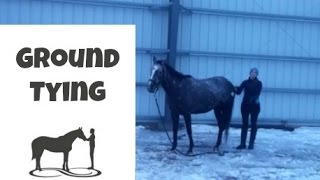 Learn Ground Tying skills to teach your horse