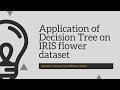 Application of scikit learn Decision Tree Classifier on IRIS flower dataset