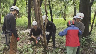 【ヒノキの産地で】小学生が林業について学ぶ　三重・尾鷲市