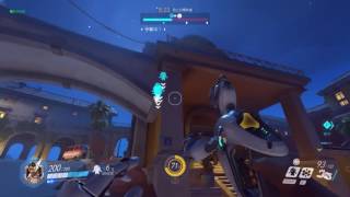 OVERWATCH BUG