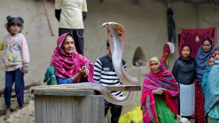 People wanted to kill a giant cobra snake that was found while demolishing an old house. Then Gud...