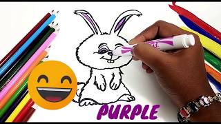 Snowball- The Secret Life of Pets | Learn Drawing, coloring and Painting for Kids and Toddlers