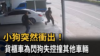 小狗突然衝出！ 貨櫃車為閃狗失控撞其他車輛－民視新聞