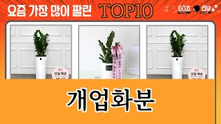 가장 많이 팔린 개업화분 추천 Top10!