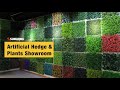 Artificial Hedge & Plants Showroom | Sunwing Artificial Plants