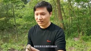 小伙深山隐居花18元卖了一把柴刀，却不带木手柄，这可怎么办呢