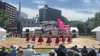 ［4K］本城西おりひめ隊/黒崎よさこい祭り2024.05.19メイン会場