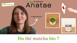 Anatae - Du thé matcha bio (sans amertume)