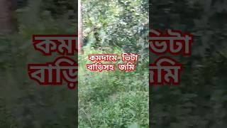 কমদামে ১২ শতাংশ জমি বিক্রি হবে, যোগাঃ  #vlog