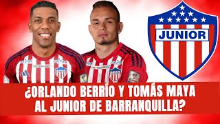 ¿ORLANDO BERRÍO Y TOMAS MAYA AL JUNIOR? ¿Cuál Jugador Anda en Psicólogo | #100Tiburon