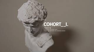 INTRODUCING THE COHORT__I / a model overview
