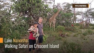 Lake Naivasha: Walking Safari on Crescent Island