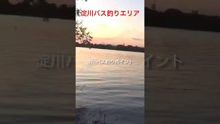 淀川バス釣りポイント！！淀川クイズです〜！！どこの場所かわかるかな？？わかる人は淀川マスター上級者です！わかる方はグッドボタンよろしくお願いします。#shorts #fishing#バス釣り #淀川