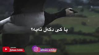 ئەگەر خودێ حەشتەبکت ئێدی تە منەت ب حەشێکرنا بەندەی وی نابیت☝