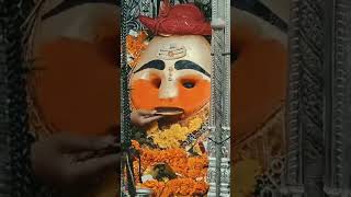 kaal bhairav Baba Ujjain || मदिरा पान करते हुए,🥃 #kaalbhairav #ujjain  #भैरव