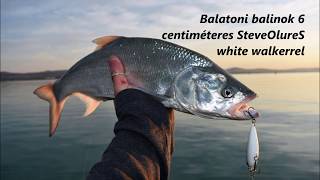 Balatoni balinok 6 centiméteres steveolures white walkerrel