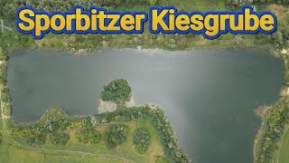 Sporbitzer Kiesgrube 25.08.2024 01259 Dresden (Sachsen) #SporbitzerKiesgrube #NaturDresden