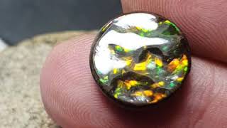 13.3mm Ammolite round cabochon green orange from Alberta, Canada. 13.3 by 4.1mm