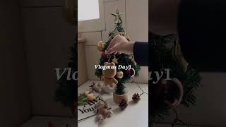 Vlogmas Day1 裝聖誕樹🎄🎅🏻✨