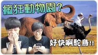 駝鳥極速傳說？！ ► 瘋狂動物園  頂尖開發人員 Rodeo Stampede: Sky Zoo Safari  ∥Ft. Felix [Hins Plays]