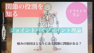 関節の役割を知る🔰【ジョイントバイジョイント理論】イラスト見ながら学ぶ