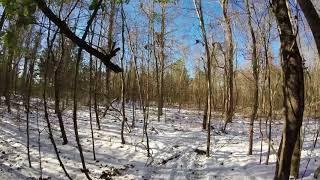 Beasley Timber Farm; first half of northwest woods trail