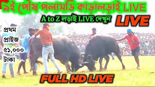 ৯ই পৌষ পলাসডি কাড়ালড়াই LIVE