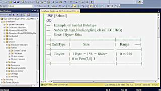 SQL Server Data Type - Tiny Int (Hindi)